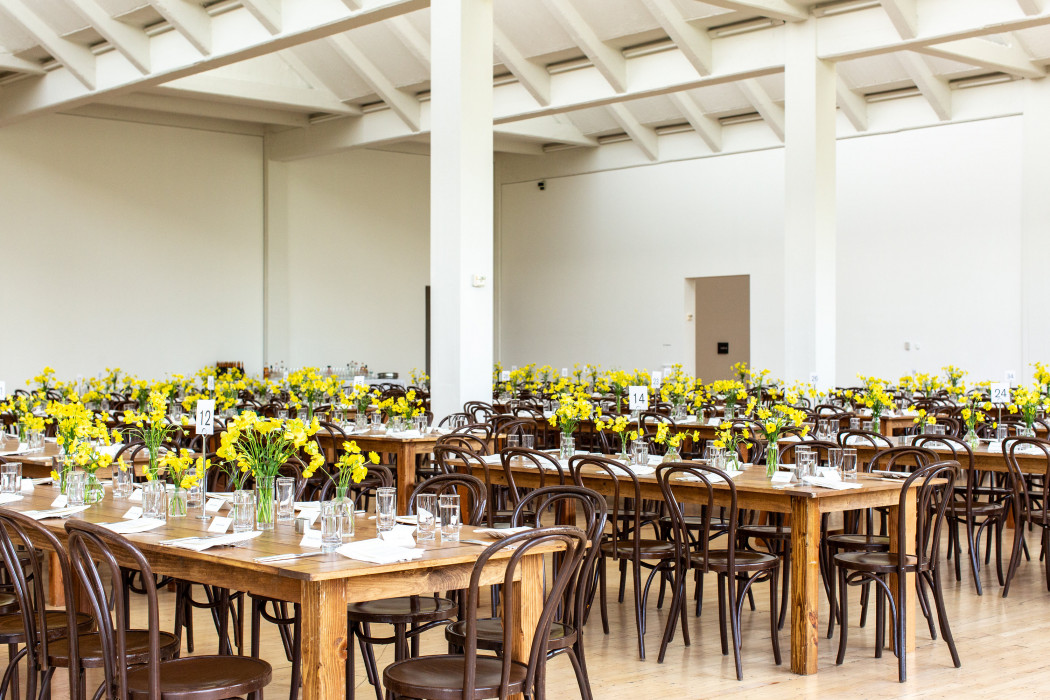 Daffodil centerpieces decorate a sea of long wooden tables and chocolate metal chairs in a room with tall white walls and wood floors.