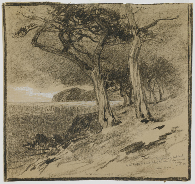 A charcoal and chalk sketch of trees along a coast.