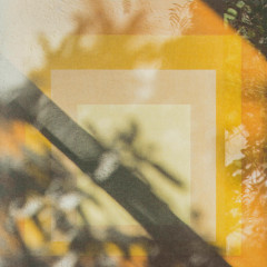 Increasingly small squares nested within each other according to size, all in varying shades of yellow, overlaid with the shadows of trees and leaves, as they might look coming through a window.