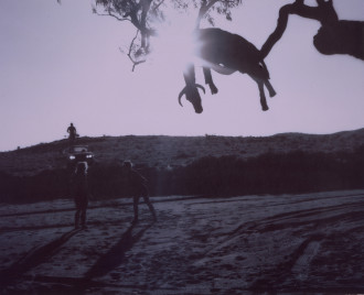 A purple-tinted photograph of a ram hanging in a tree branch, with three people and a car in the background.